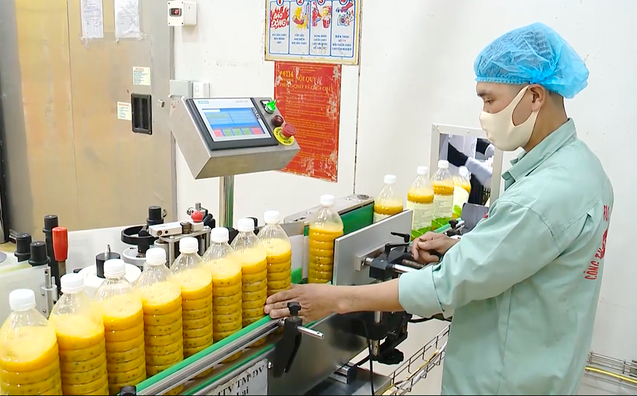 Các Tiểu ban thuộc Tổ công tác đặc biệt nhằm hỗ trợ, tháo gỡ khó khăn, vướng mắc trên nhiều lĩnh vực của cuộc sống. Ảnh: Vũ Thảo