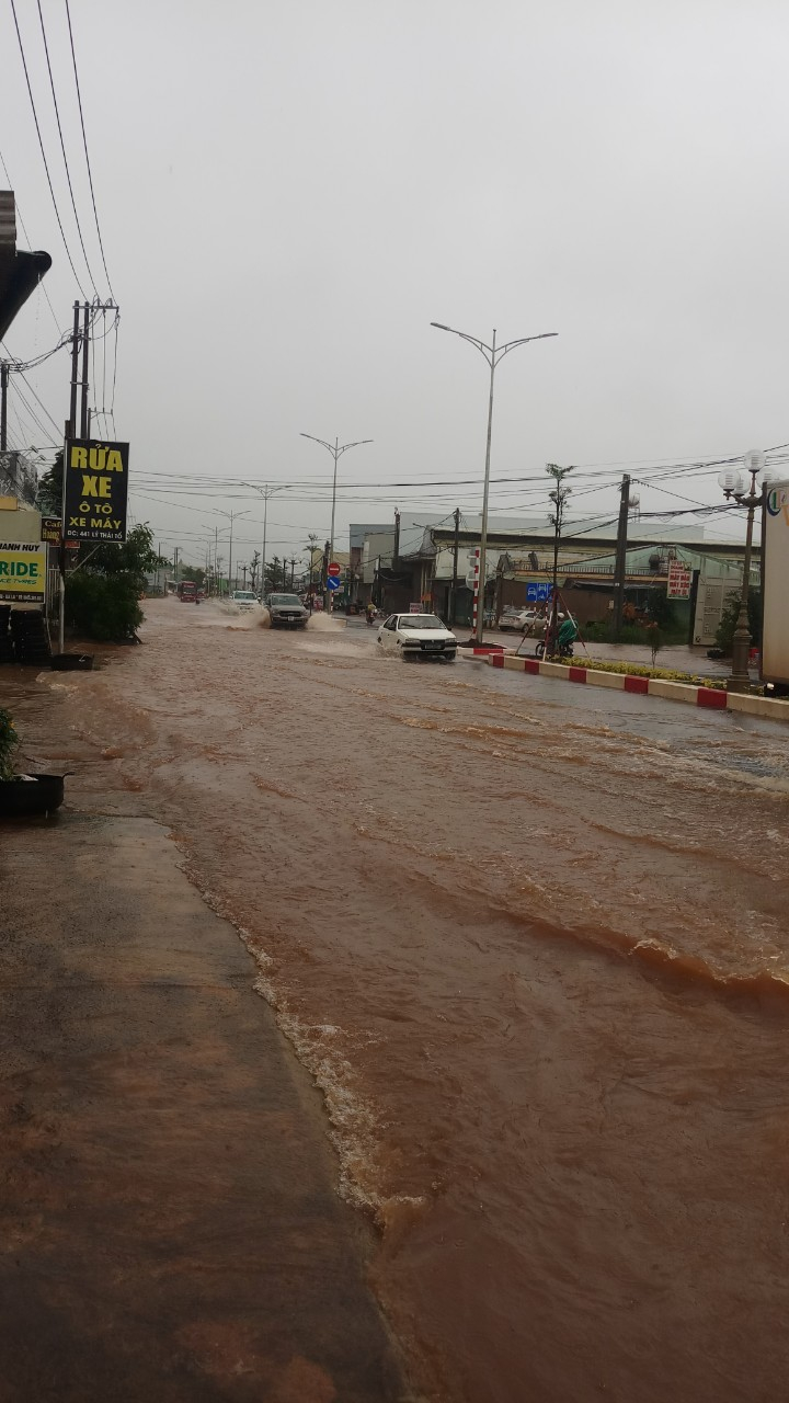 Một đoạn đường Lý Thái Tổ (TP. Pleiku) ngập nặng do mưa lớn-ảnh CTV Nhân Kiệt
