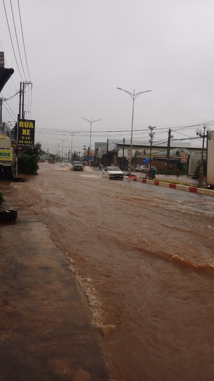 Một đoạn đường Lý Thái Tổ (TP. Pleiku) ngập nặng do mưa lớn-ảnh CTV Nhân Kiệt