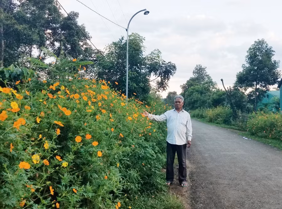 Ông Puih Nhen bên con đường hoa do người dân làng Bẹk trồng. Ảnh: Nhật Hào Ông Puih Nhen bên con đường hoa do người dân làng Bẹk trồng. Ảnh: Nhật Hào