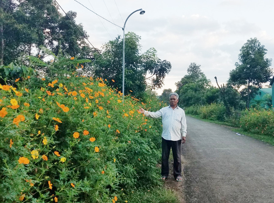  Ông Puih Nhen bên con đường hoa do người dân làng Bẹk trồng. Ảnh: Nhật Hào