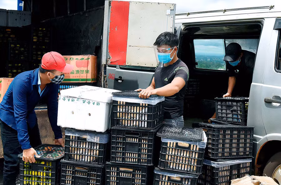  Người dân vận chuyển nông sản lên xe “luồng xanh” để đưa đi tiêu thụ. Ảnh: Đức Thụy