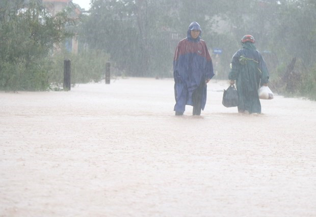  (Ảnh: Nguyên Lý/TTXVN)