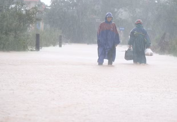  (Ảnh: Nguyên Lý/TTXVN)