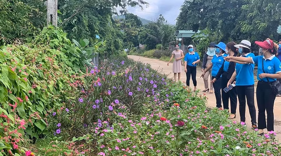 Phụ nữ huyện Krông Pa có nhiều hoạt động xây dựng nông thôn mới như con đường hoa, hàng rào xanh.Ảnh: Minh Châu