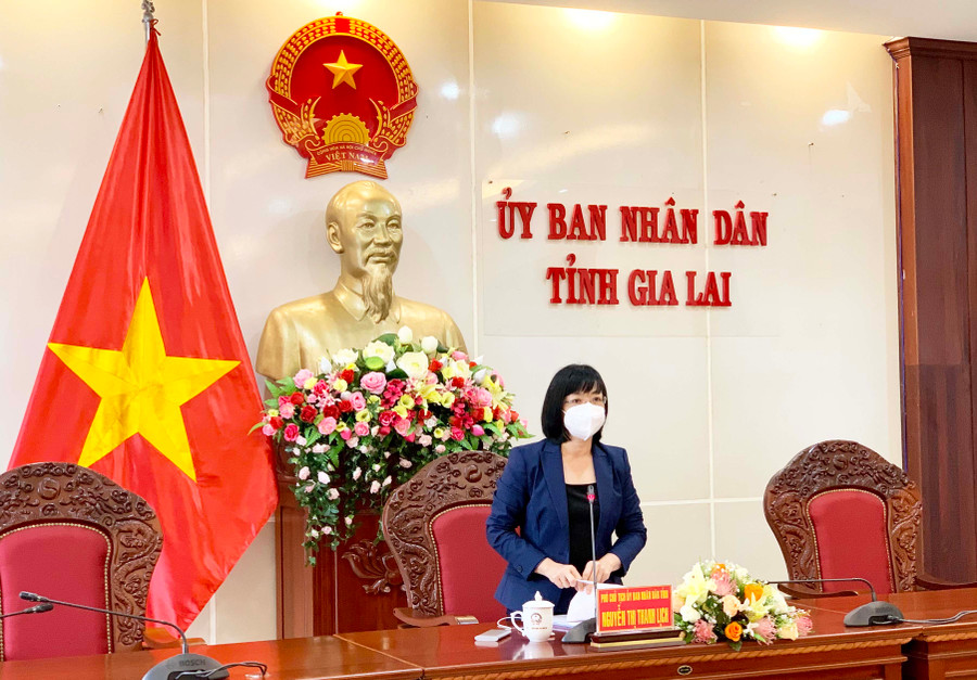 Phó Chủ tịch UBND tỉnh Nguyễn Thị Thanh Lịch phát biểu tại cuộc họp. Ảnh: Như Nguyện