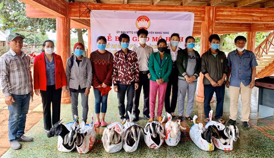  Đại diện Ban Thường trực Ủy ban MTTQ huyện Mang Yang trao dê giống cho các hộ nghèo tham gia mô hình nuôi dê sinh sản. Ảnh: Ngọc Anh