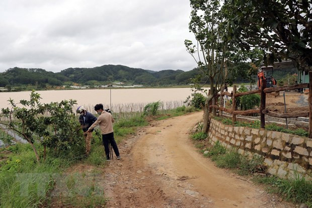 Phóng viên và người quản lý hồ tìm dấu vết của cột mốc chỉ giới phạm vi bảo vệ hồ vừa bị kẻ xấu nhổ đi. Ảnh: Nguyễn Dũng/TTXVN
