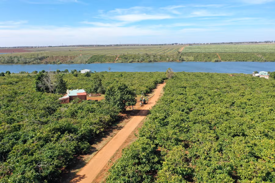 HTX Ia Ring từng bước hướng đến hình thành vùng sản xuất cà phê bền vững theo các chứng nhận nhằm đám ứng nhu cầu xuất khẩu. Ảnh: Quang Tấn