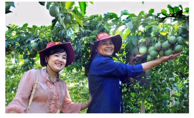 Các mô hình sản xuất nông nghiệp ứng dụng CNC đang mang lại hiệu quả cao cho người dân Đắk Nông. Ảnh: Lê Min