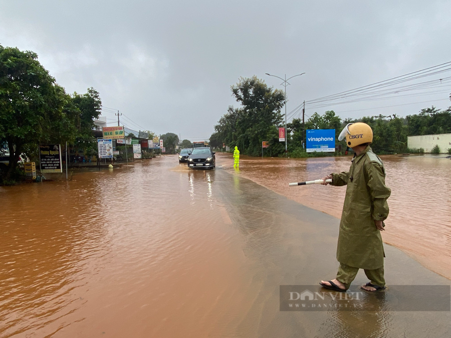 Mưa lớn gây ngập lụt cũng đã làm ảnh hưởng đến cuộc sống của nhiều hộ gia đình hai bên đường. Ông Hồ Văn Hà (thôn 2, xã Ea K’tur, huyện Cư Kuin) cho biết, gia đình phải dùng nhiều tấm tôn và bao tải cát làm bờ chắn để ngăn nước tràn vào nhà nhưng hiệu quả không cao. Ngập lụt đã làm ảnh hưởng lớn tới đời sống của gia đình. Mưa lớn gây ngập lụt cũng đã làm ảnh hưởng đến cuộc sống của nhiều hộ gia đình hai bên đường. Ông Hồ Văn Hà (thôn 2, xã Ea K’tur, huyện Cư Kuin) cho biết, gia đình phải dùng nhiều tấm tôn và bao tải cát làm bờ chắn để ngăn nước tràn vào nhà nhưng hiệu quả không cao. Ngập lụt đã làm ảnh hưởng lớn tới đời sống của gia đình.