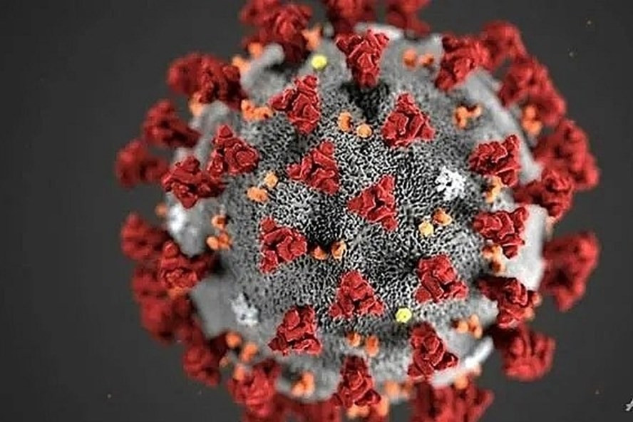 Ảnh minh họa virus Corona. Ảnh: AFP