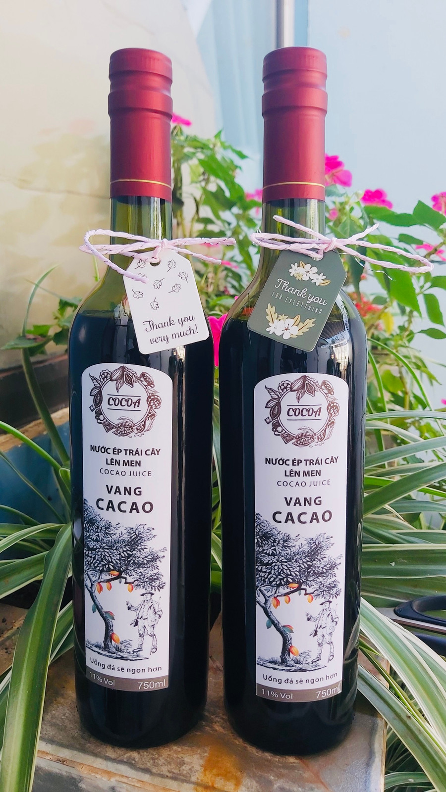 Sản phẩm rượu ca cao do ông Nguyễn Bá Dũng (thôn 1, xã Cư Êbur, TP. Buôn Ma Thuột) chế biến.