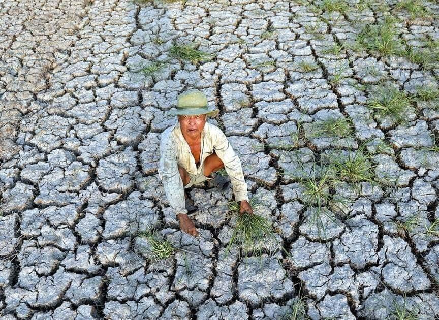 Tác phẩm Miền tây oằn mình trong cơn khát của phóng viên Cao Ngọc Dương, Báo Thanh Niên, góp mặt trong Top 10 Khoảnh khắc báo chí 2020. Ảnh: Ngọc dương Tác phẩm Miền tây oằn mình trong cơn khát của phóng viên Cao Ngọc Dương, Báo Thanh Niên, góp mặt trong Top 10 Khoảnh khắc báo chí 2020. Ảnh: Ngọc dương