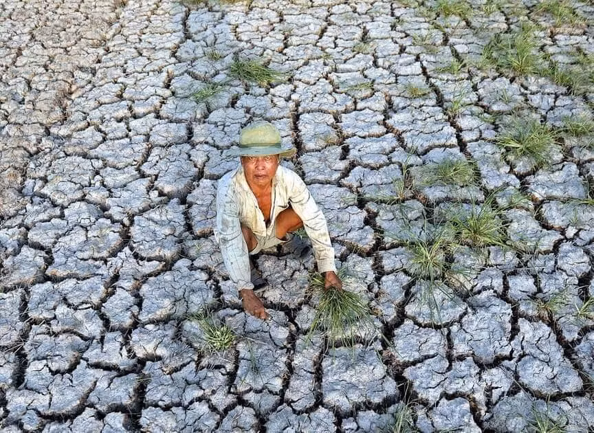 Tác phẩm Miền tây oằn mình trong cơn khát của phóng viên Cao Ngọc Dương, Báo Thanh Niên, góp mặt trong Top 10 Khoảnh khắc báo chí 2020. Ảnh: Ngọc dương