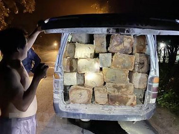 Xe 16 chỗ chở theo 25 khúc gỗ không rõ nguồn gốc bị bắt giữ. Ảnh: TTXVN phát