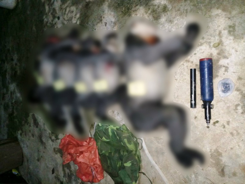  Tang vật 5 cá thể động vật nghi voọc chà vá chân xám bị bắn chết. (Ảnh: Hạt Kiểm lâm huyện Ba Tơ cung cấp).