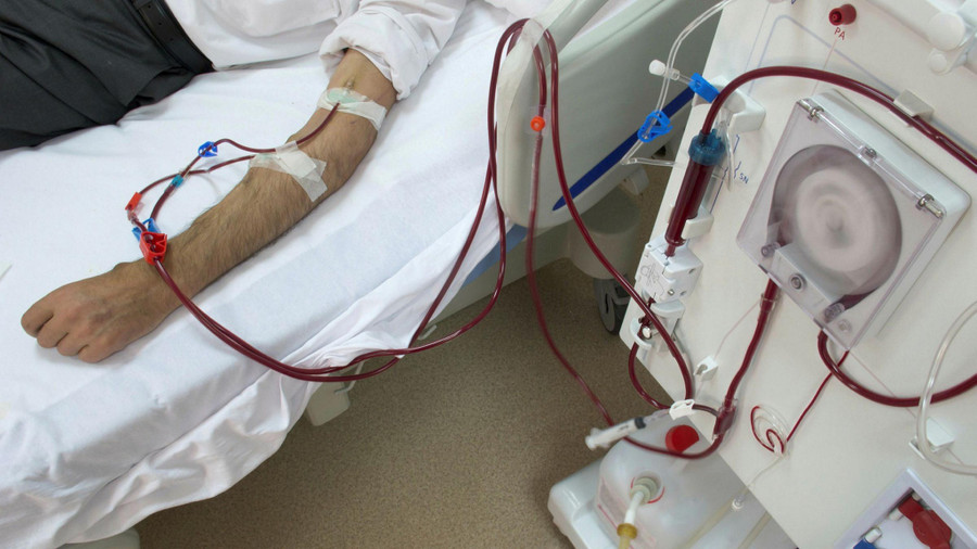 Một số căn bệnh ảnh hưởng đến thận, có thể gây suy thận. Ảnh: Shutterstock 