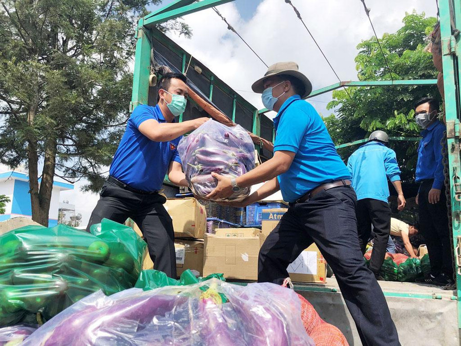 Thanh niên tỉnh Lâm Đồng đã tiếp tế nhu yếu phẩm cho người dân TP.HCM trong những ngày TP giãn cách xã hội. Ảnh: Lâm Viên