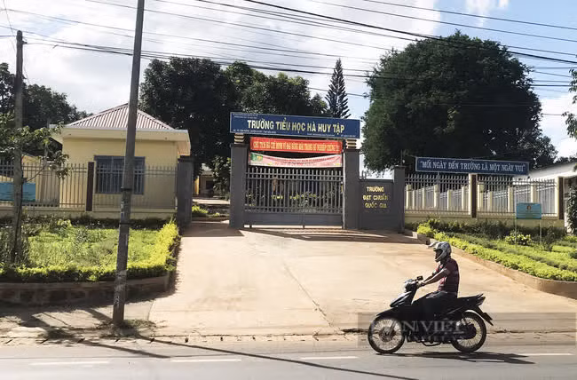 Trường tiểu học Hà Huy Tập, nơi ông Hải làm Hiệu trưởng. Ảnh: Duy Hậu.