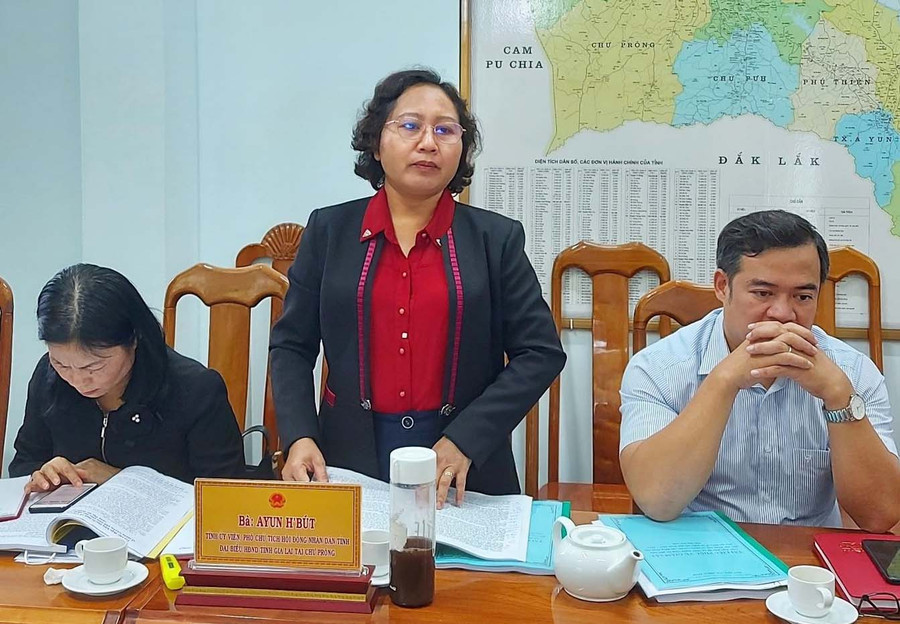 Phó Chủ tịch HĐND tỉnh Gia Lai Ayun H'Bút phát biểu tại buổi làm việc. Ảnh: Thiên Di