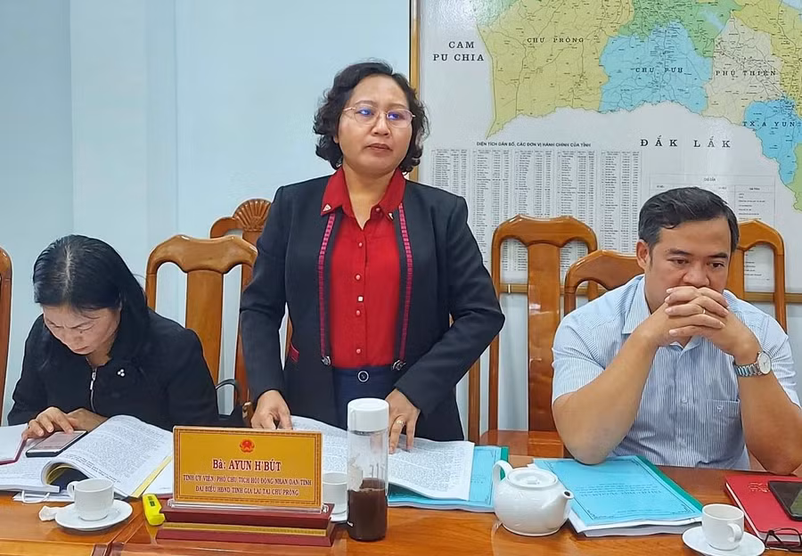 Phó Chủ tịch HĐND tỉnh Gia Lai Ayun H'Bút phát biểu tại buổi làm việc. Ảnh: Thiên Di