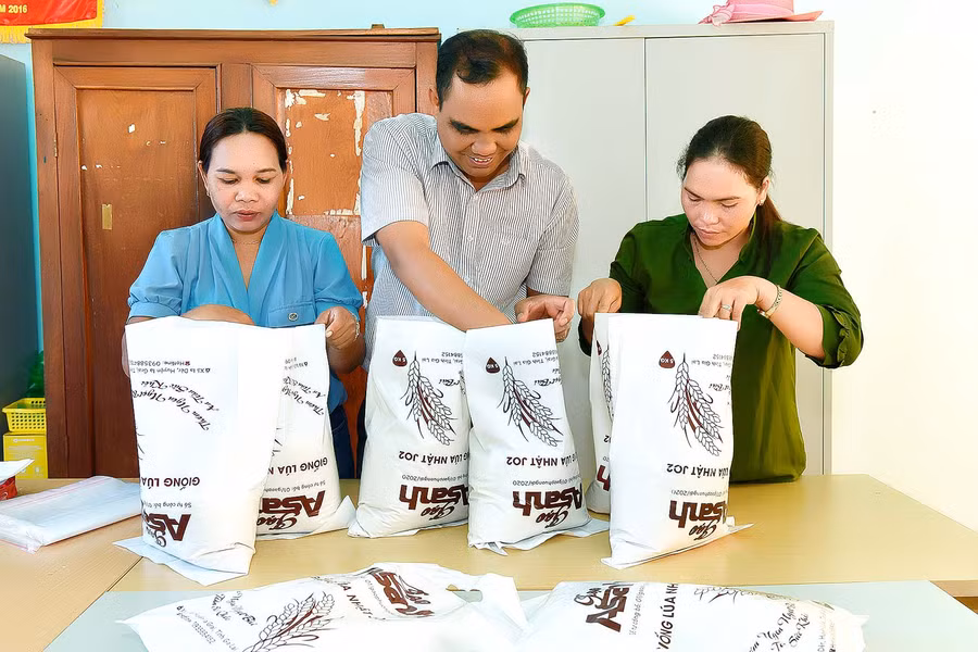 Các thành viên Tổ hợp tác nông nghiệp và dịch vụ xã Ia Dêr (huyện Ia Grai) đóng gói sản phẩm gạo Asanh (ảnh chụp trước tháng 4-2021). Ảnh: Đức Thụy