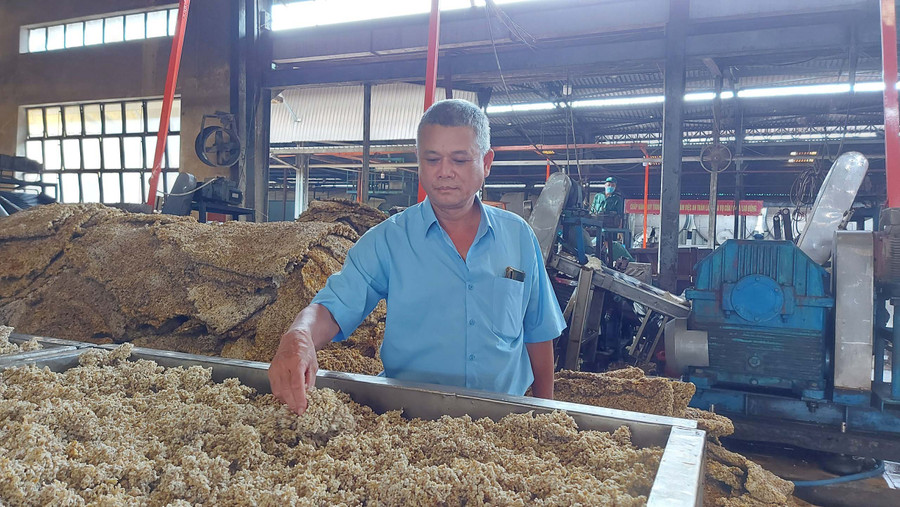 Ông Nguyễn Hoàng Tuấn có nhiều sáng kiến, giải pháp cải tiến kỹ thuật làm lợi cho công ty vài tỷ đồng. Ảnh: Thiên Di