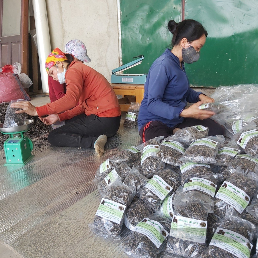 Mô hình kinh tế này đã tạo việc làm ổn định cho 10 lao động địa phương. Ảnh: N.G