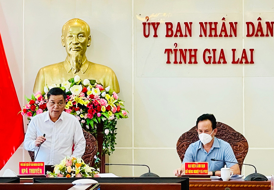 Phó Chủ tịch UBND tỉnh Kpă Thuyên phát biểu tại hội nghị. Ảnh: Vũ Thảo