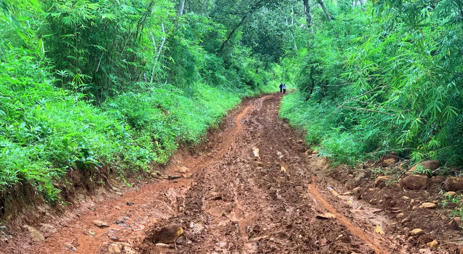 Đường vào buôn Lách Ló, xã Nam Ka (huyện Lắk) - nơi đứng chân điểm Trường Tiểu học Nơ Trang Lơng.