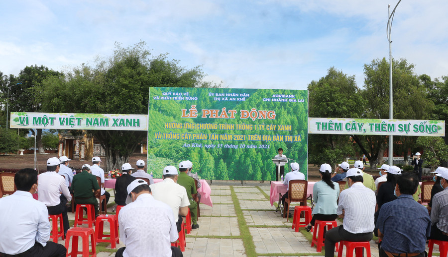 Quang cảnh lễ phát động hưởng ứng chương trình trồng 1 tỷ cây xanh và cây phân tán trên địa bàn thị xã An Khê. Ảnh: Ngọc Minh Quang cảnh lễ phát động. Ảnh: Ngọc Minh