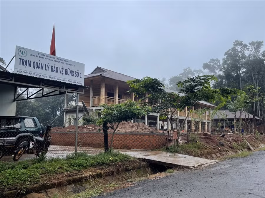 Làm dịch vụ du lịch chỉ là dự định, trụ sở trạm quản lý bảo vệ rừng được xây toàn gỗ là thực tế. Ảnh: BL