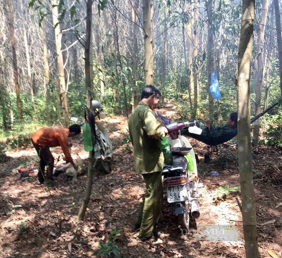 Công việc trồng và bảo vệ rừng khá vất vả, mang đến thu nhập cho những lao động địa phương. Ảnh: TB. Công việc trồng và bảo vệ rừng khá vất vả, mang đến thu nhập cho những lao động địa phương. Ảnh: TB.