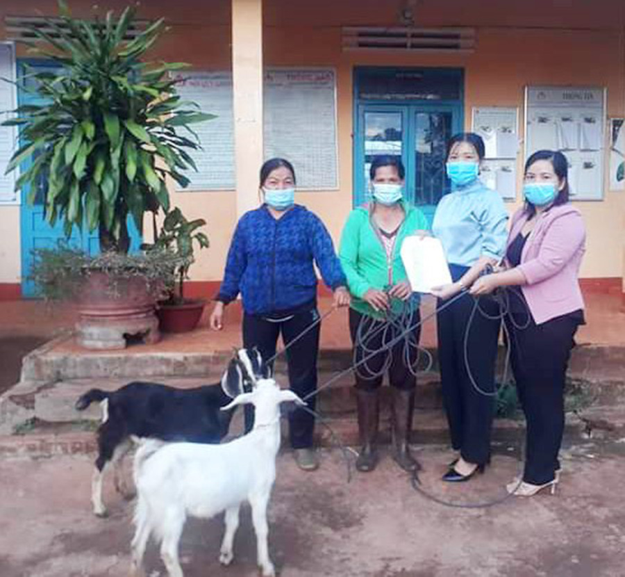  Chị Hoa (thứ 2 từ trái sang) được hỗ Hội LHPN xã Ia Hlốp (huyện Chư Sê) hỗ trợ cặp dê sinh sản để phát triển chăn nuôi. Ảnh: Quang Tấn