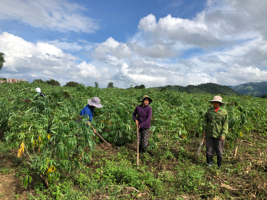Tham gia mô hình “Làng phụ nữ kiểu mẫu” hội viên phụ nữ có cơ hội trao đổi kinh nghiệm, giúp đỡ nhau phát triển sản xuất. Ảnh: Ngọc Minh