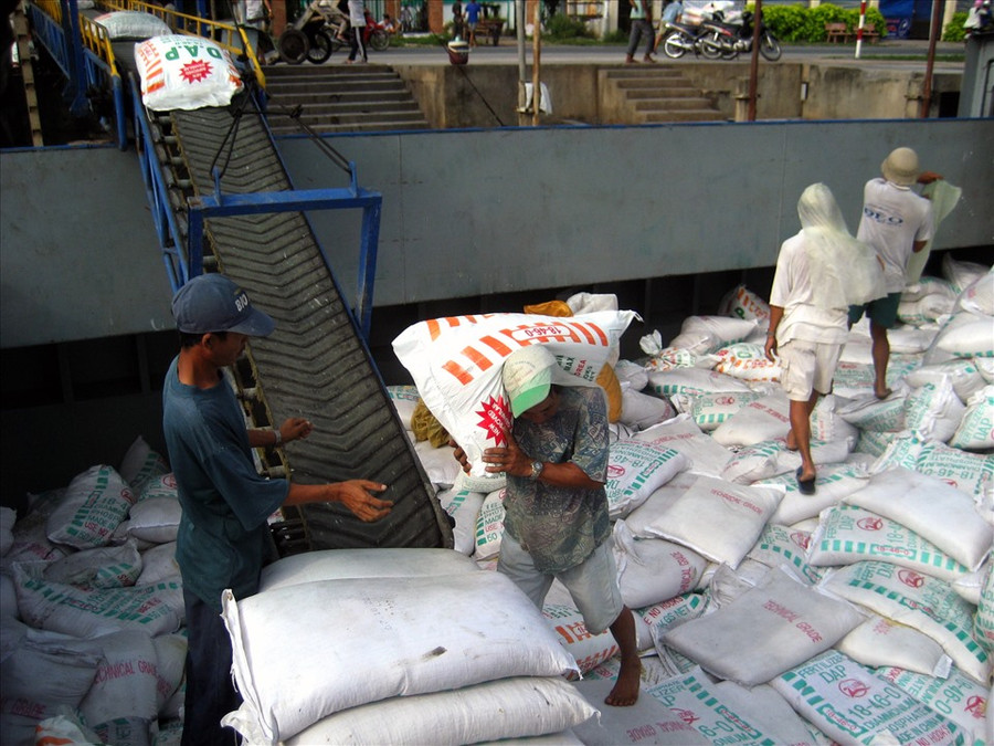 Lực lượng lao động khuân vác phân DAP. Ảnh: LT