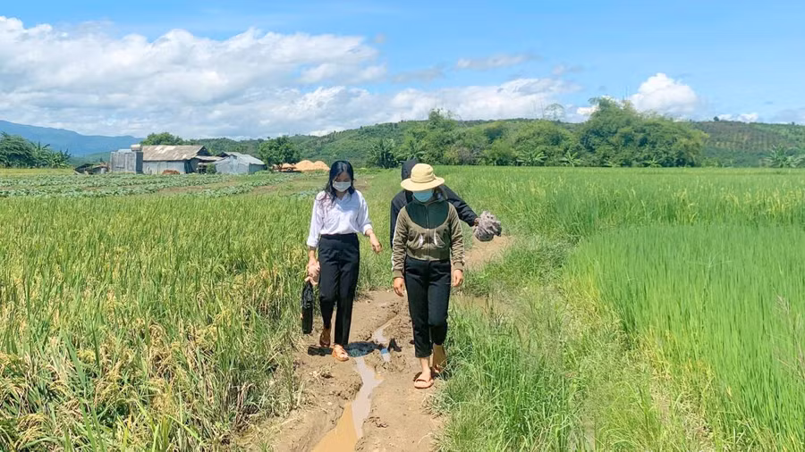 Cán bộ, giáo viên Trường THCS Trần Quốc Toản (xã Ea R’bin, huyện Lắk) trên đường vận động học sinh tới trường.