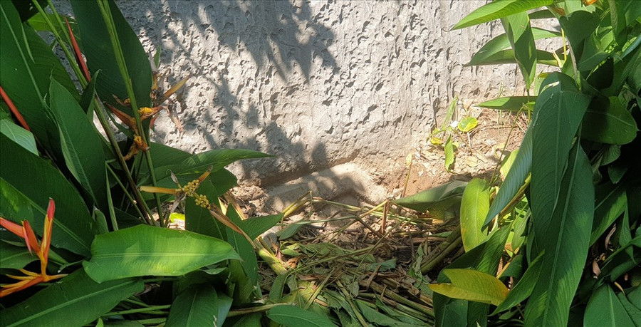  Trước đây bài thơ nằm trên vách núi, nhưng hiện đã nằm dưới lòng đất. Ảnh: Nguyễn Hùng