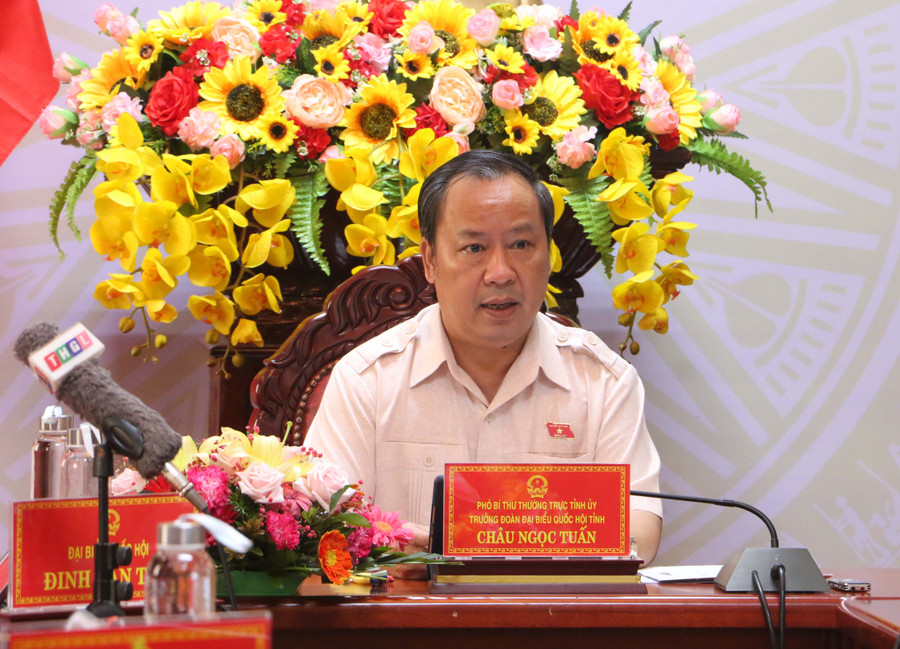 Phó Bí thư Thường trực Tỉnh ủy, Trưởng đoàn đại biểu Quốc hội tỉnh Gia Lai Châu Ngọc Tuấn tham gia góp ý Dự thảo Luật Điện ảnh (sửa đổi). Ảnh: Quang Tấn