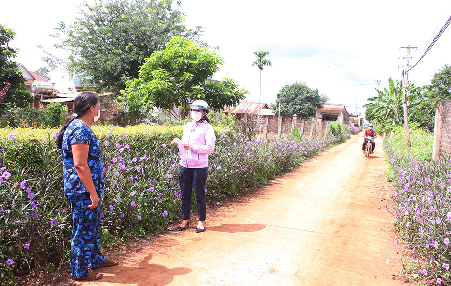  Chị Võ Thị Toan (bìa phải) vận động hội viên triển khai mô hình “Hàng rào xanh, con đường hoa”. Ảnh: Quang Tấn