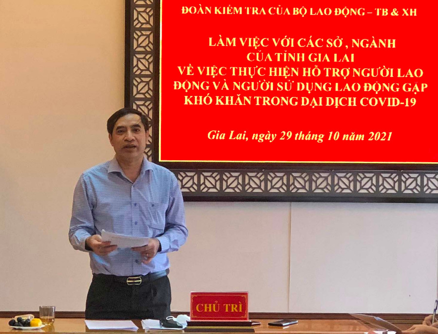 Ông Vũ Trọng Bình-Cục trưởng Cục việc làm phát biểu đánh giá công tác thực hiện hỗ trợ người lao động và người sử dụng lao động gặp khó khăn do đại dịch Covid-19. Ảnh: Đinh Yến