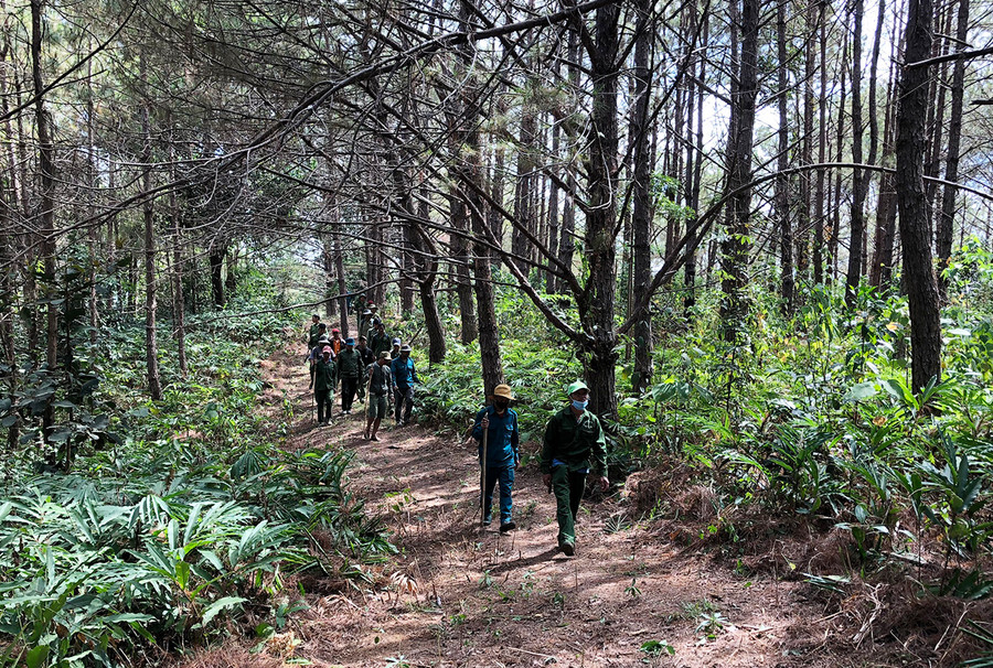 Lực lượng chức năng huyện Chư Păh tăng cường tuần tra bảo vệ rừng. Ảnh: Minh Nguyễn Lực lượng chức năng huyện Chư Păh tăng cường tuần tra bảo vệ rừng. Ảnh: Minh Nguyễn