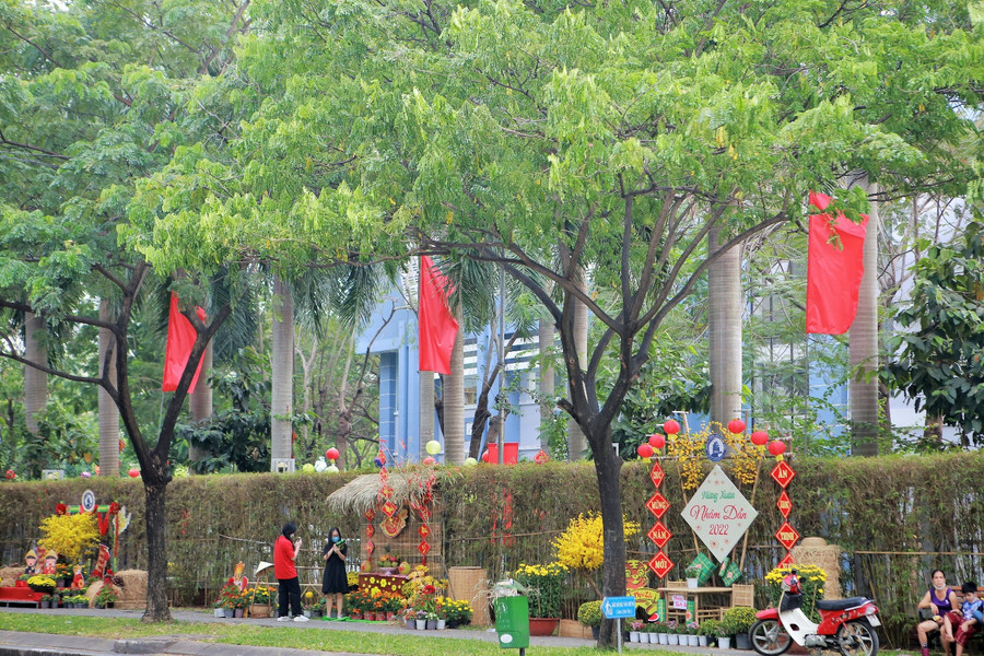  Người dân háo hức tham quan, mua sắm ngày khai mạc đường hoa Lê Thị Riêng