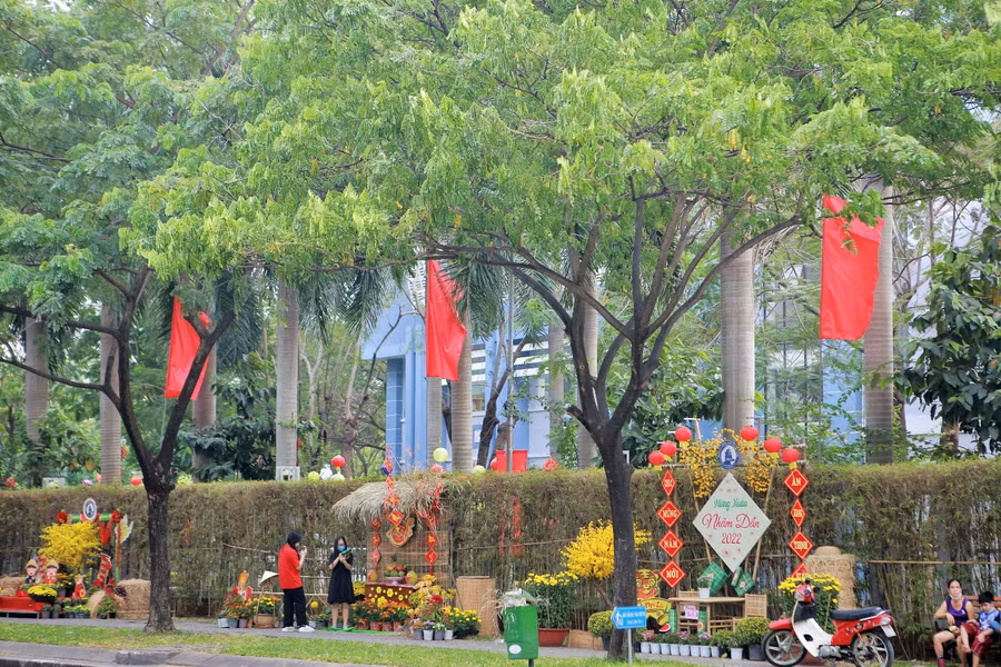  Người dân háo hức tham quan, mua sắm ngày khai mạc đường hoa Lê Thị Riêng