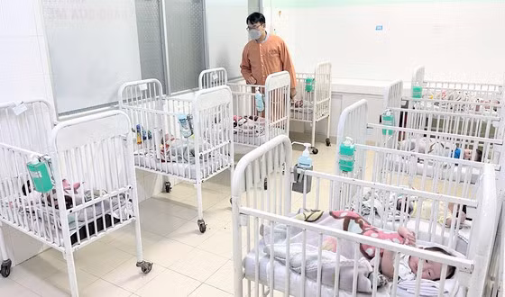 Mỗi năm, Khoa Sơ sinh Bệnh viện Hùng Vương, Khoa Hồi sức sơ sinh và Sơ sinh Bệnh viện Nhi đồng TPHCM tiếp nhận hàng ngàn trẻ sinh non, nhẹ cân và mắc các bệnh lý bẩm sinh nguy hiểm, trong đó có những trẻ bị bỏ rơi ngay khi mới lọt lòng mẹ
