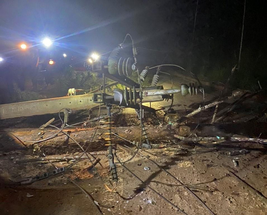 Sự cố cây thông ngã làm gãy trụ điện trung thế gây thiệt hại hàng chục triệu đồng. Ảnh: ĐLĐL