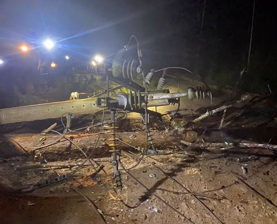 Sự cố cây thông ngã làm gãy trụ điện trung thế gây thiệt hại hàng chục triệu đồng. Ảnh: ĐLĐL