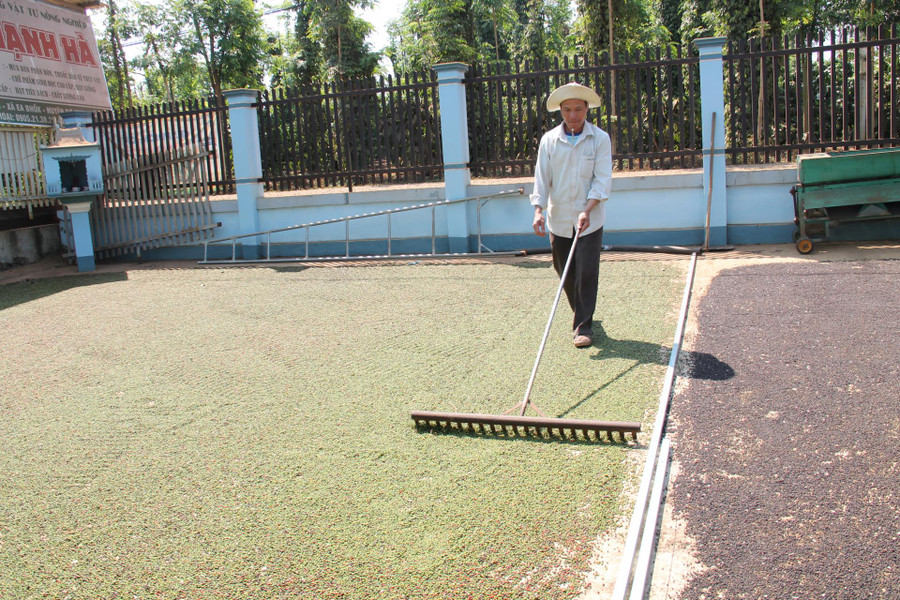 Hạt tiêu Cư Kuin chủ yếu được phơi nắng sau thu hoạch nên giữ được vị cay nồng nguyên bản. 