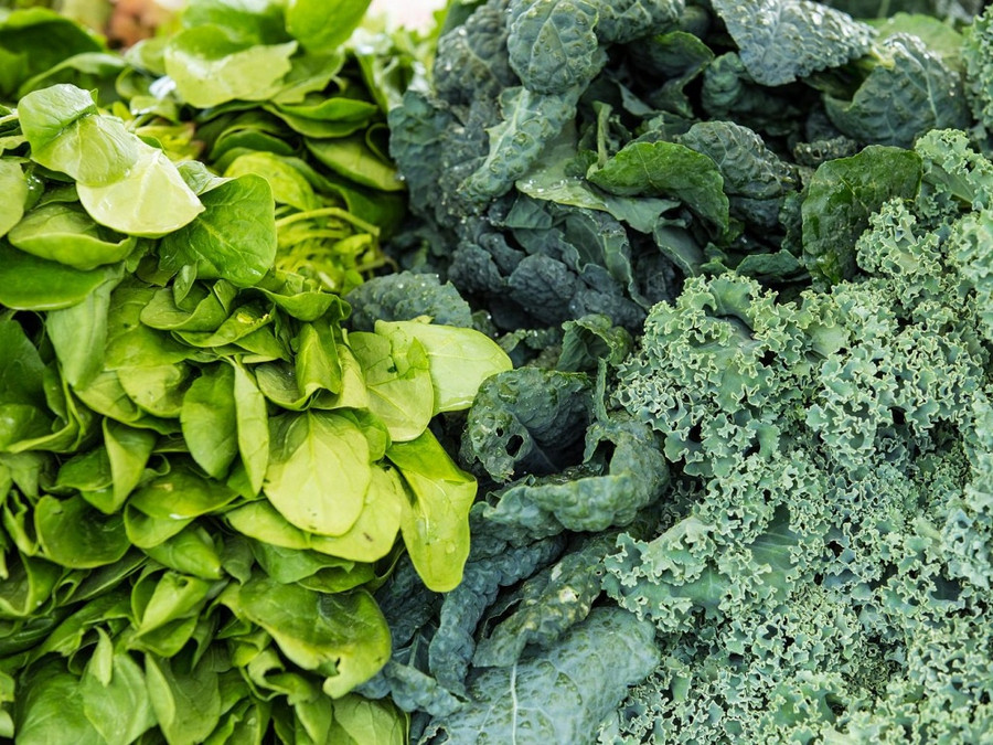 Cải bó xôi và cải xoăn đều chứa những dưỡng chất rất tốt cho sức khỏe. Ảnh: Shutterstock